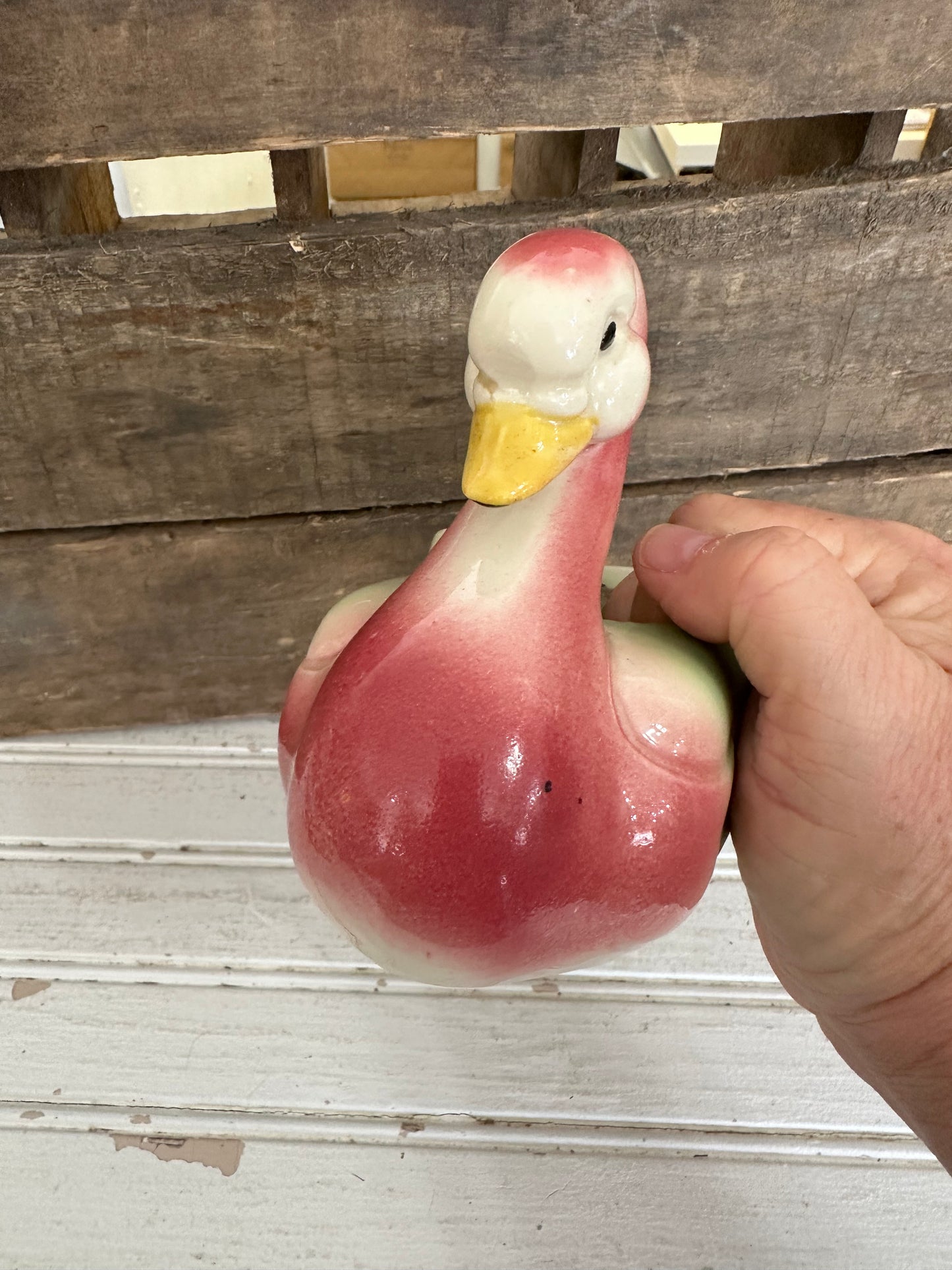 Swan Planter