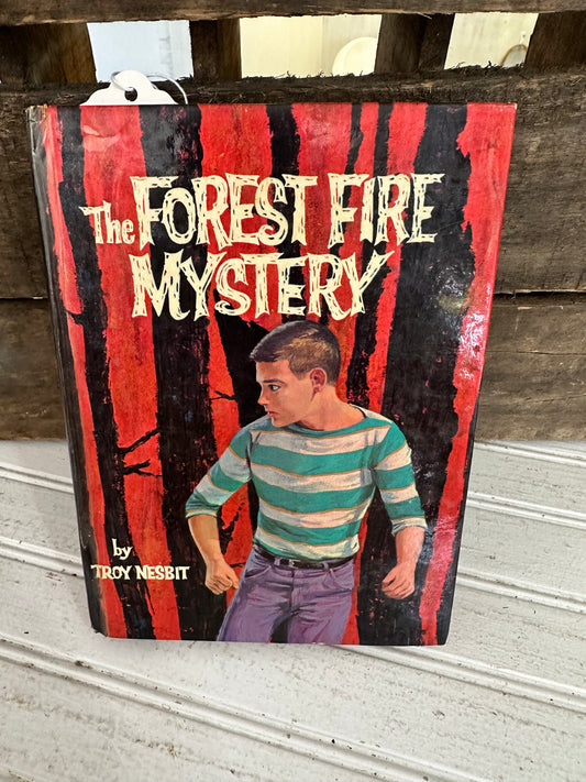 The Forest Fire Mystery