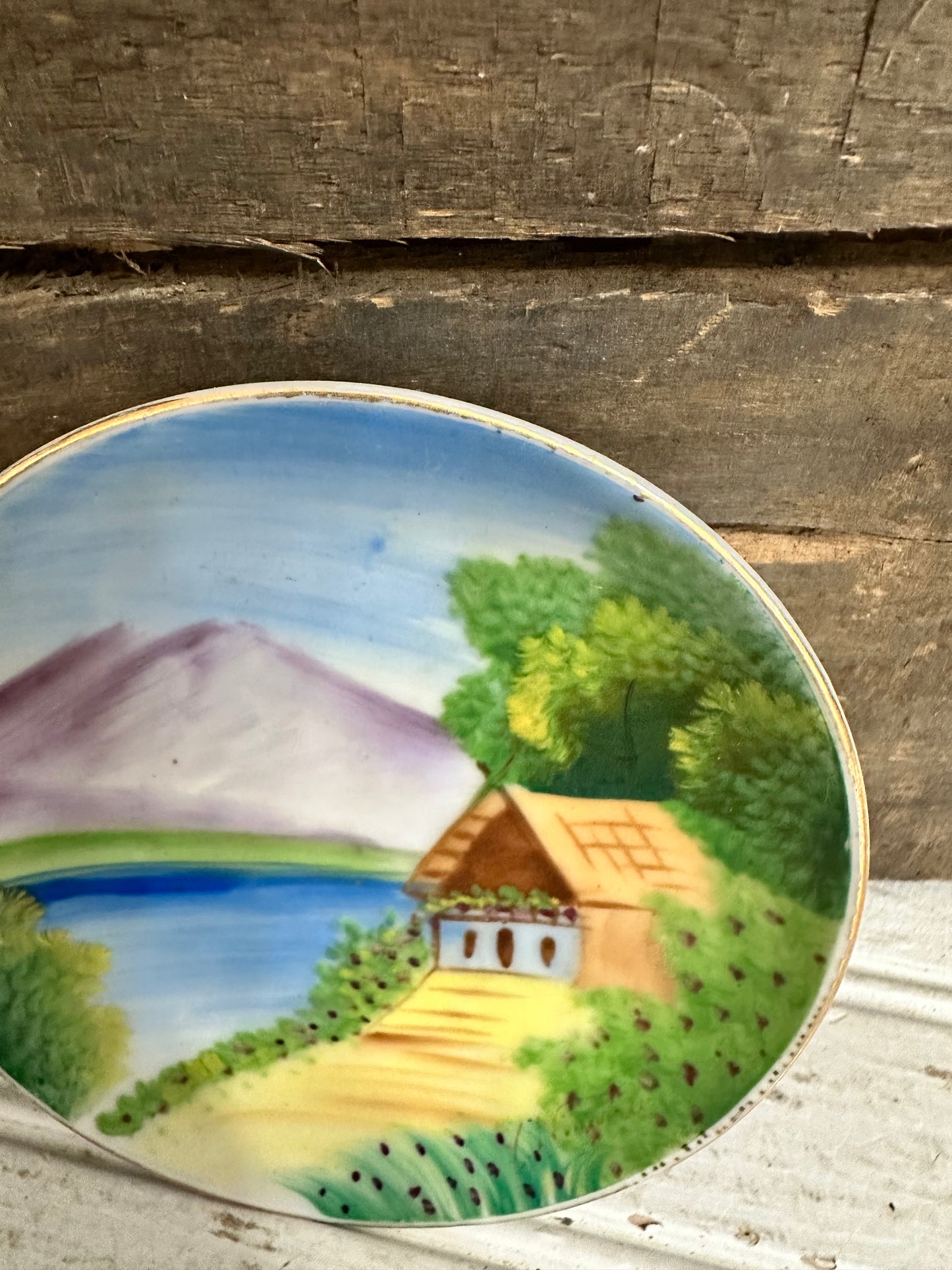 Hand painted plate
