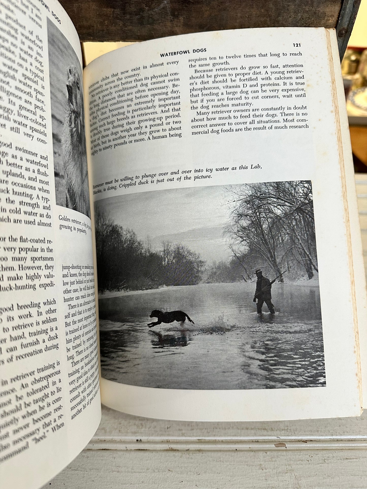 The Duck Hunter’s Bible