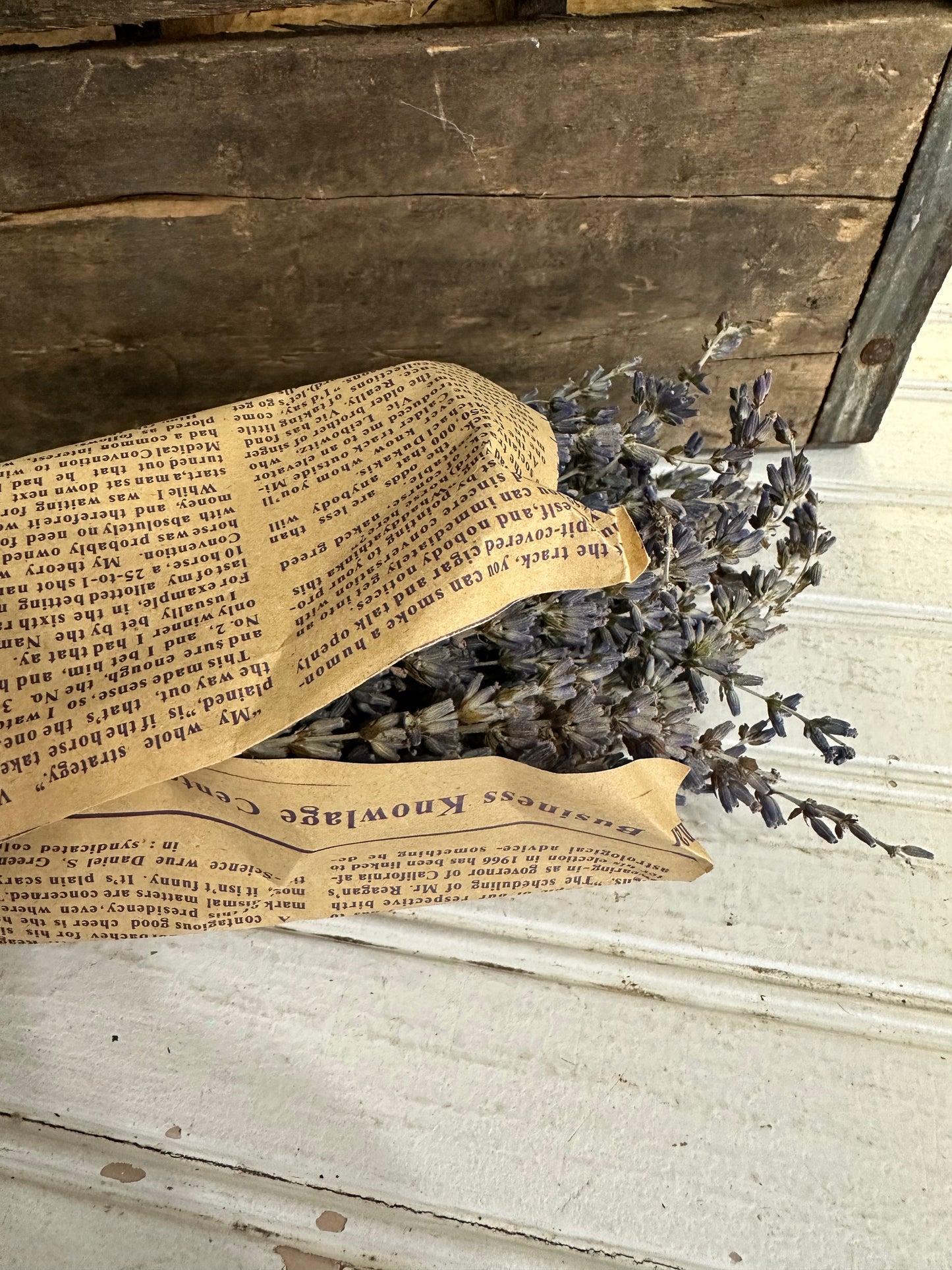 Dried Lavender bunch