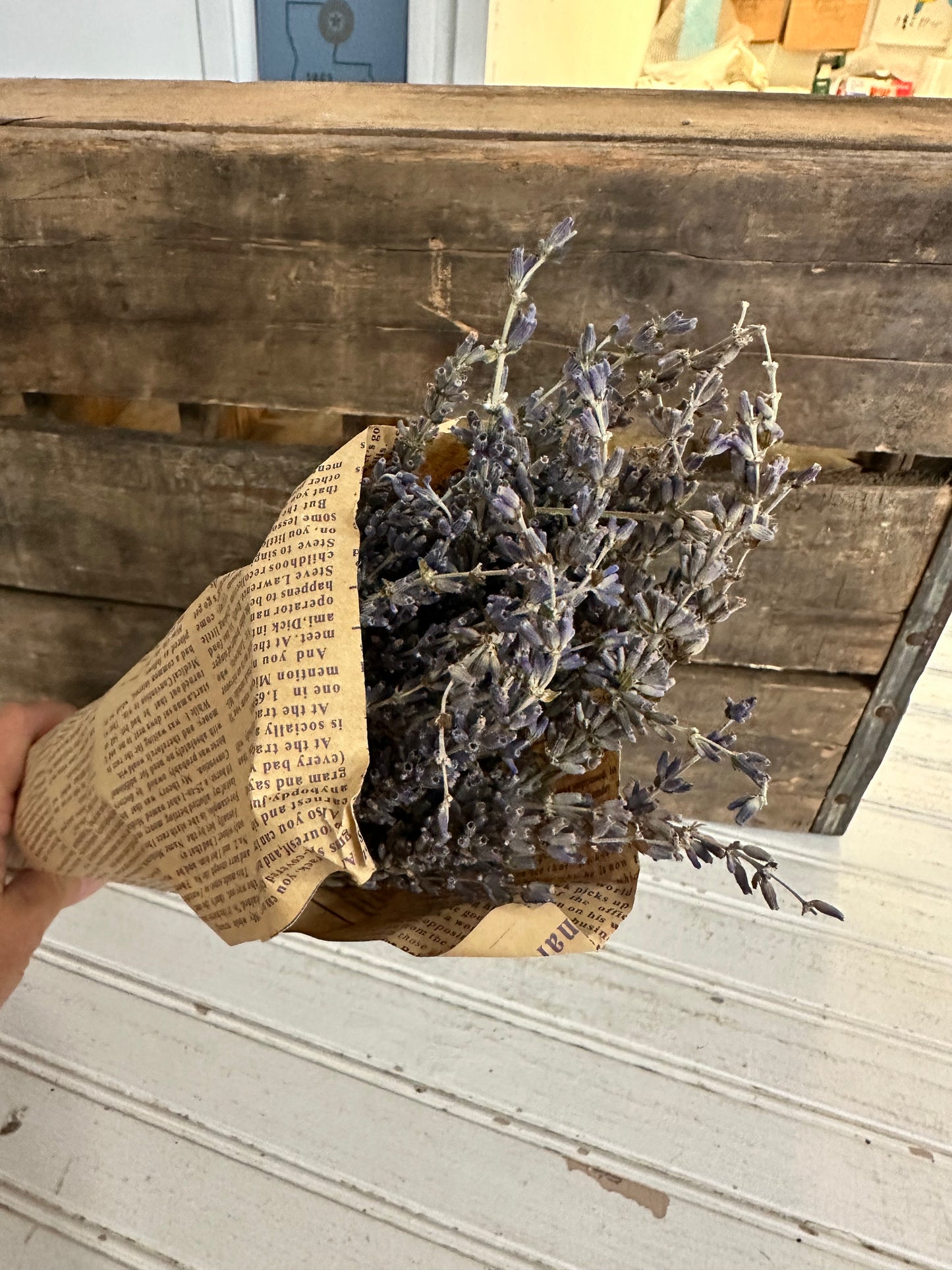 Dried Lavender bunch