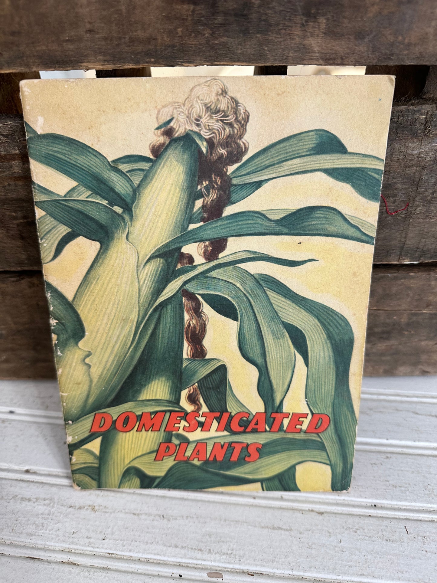 Domesticated Plants